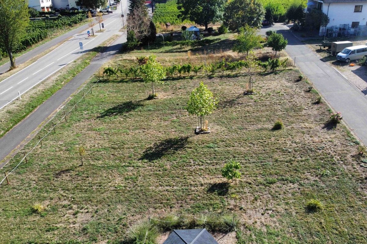 Volksbank Trier Eifel Immobilien GmbH - Immobilienangebot - Trittenheim - Grundstücke - Baugrundstück in Trittenheim als interessante Gelegenheit für Bauherren oder Projektentwickler