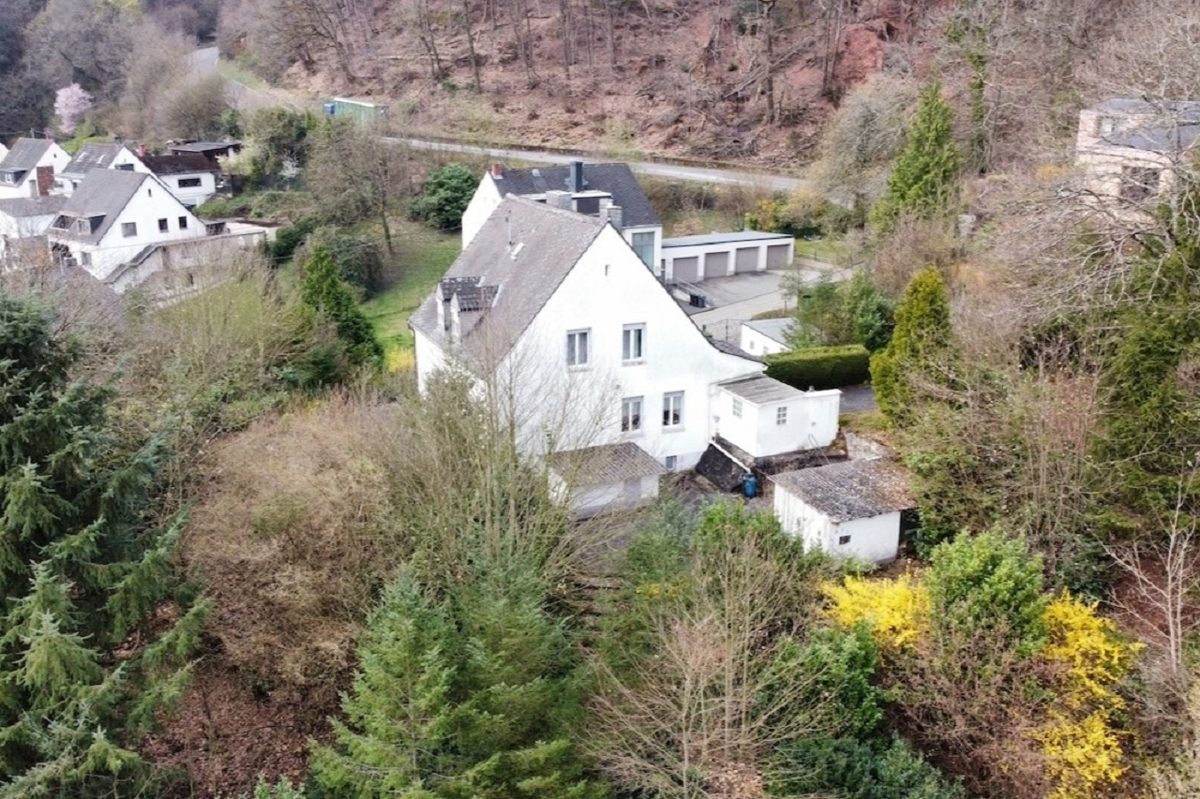 Volksbank Trier Eifel Immobilien GmbH - Immobilienangebot - Trier-Pfalzel - Alle - Großzügiges Einfamilienhaus auf weitläufigem Grundstück in Trier-Pfalzel