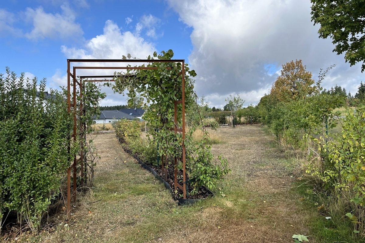 Volksbank Trier Eifel Immobilien GmbH - Immobilienangebot - Schloßheck - Alle - Zwei Häuser - ein Grundstück - unzählige Möglichkeiten in Schloßheck