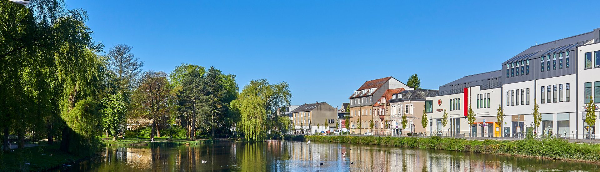 Immobilienmakler Neumünster - Frank Hoffmann Immobilien GmbH & Co. KG
