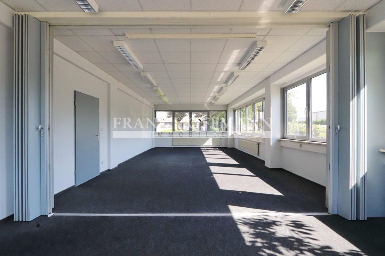 Immobilienangebot - Henstedt-Ulzburg - Alle - Über 4.200 m²! Büro-/Hallenkomplex im Gewerbepark Nord von Henstedt-Ulzburg