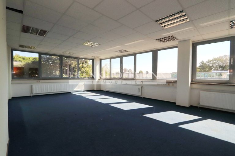 Immobilienangebot - Henstedt-Ulzburg - Alle - Über 4.200 m²! Büro-/Hallenkomplex im Gewerbepark Nord von Henstedt-Ulzburg