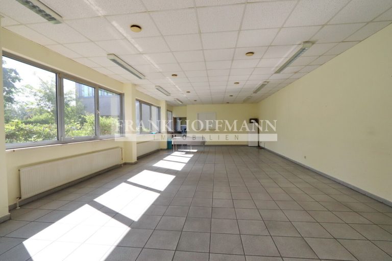 Immobilienangebot - Henstedt-Ulzburg - Alle - Über 4.200 m²! Büro-/Hallenkomplex im Gewerbepark Nord von Henstedt-Ulzburg
