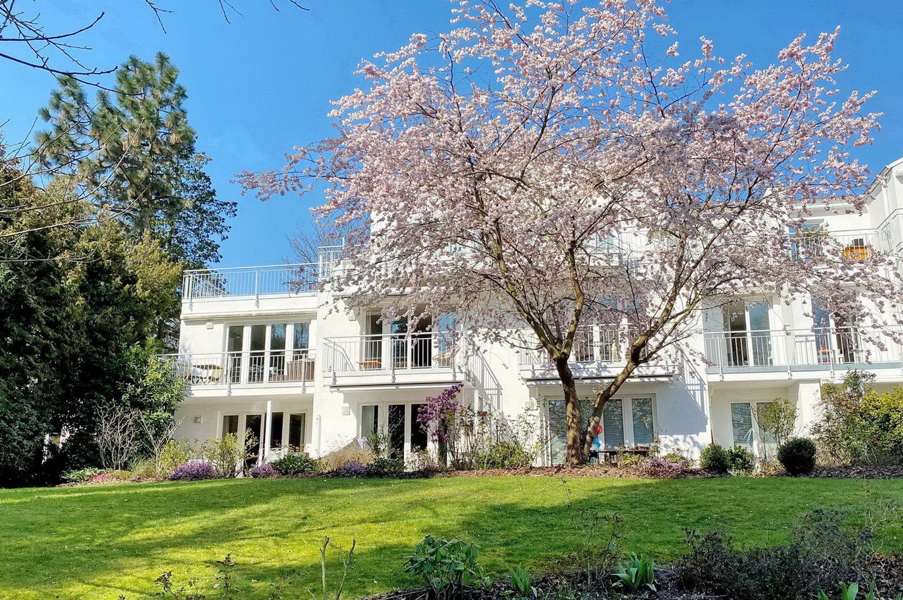 Immobilienangebot - Hamburg - Alle - TOP Stadtdomizil in Hamburg Alsterdorf