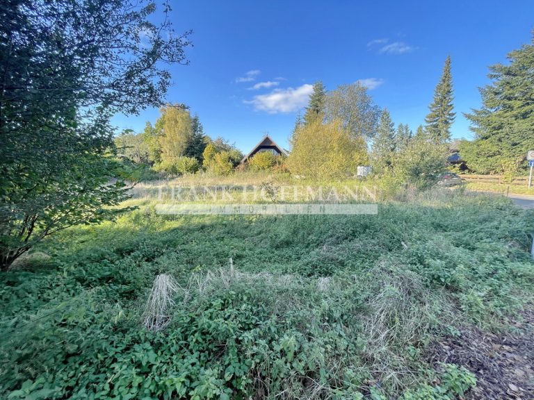 Immobilienangebot - Hartenholm - Alle - Baugenehmigung vorhanden - Attraktives Grundstück in Hartenholm-Waldhof