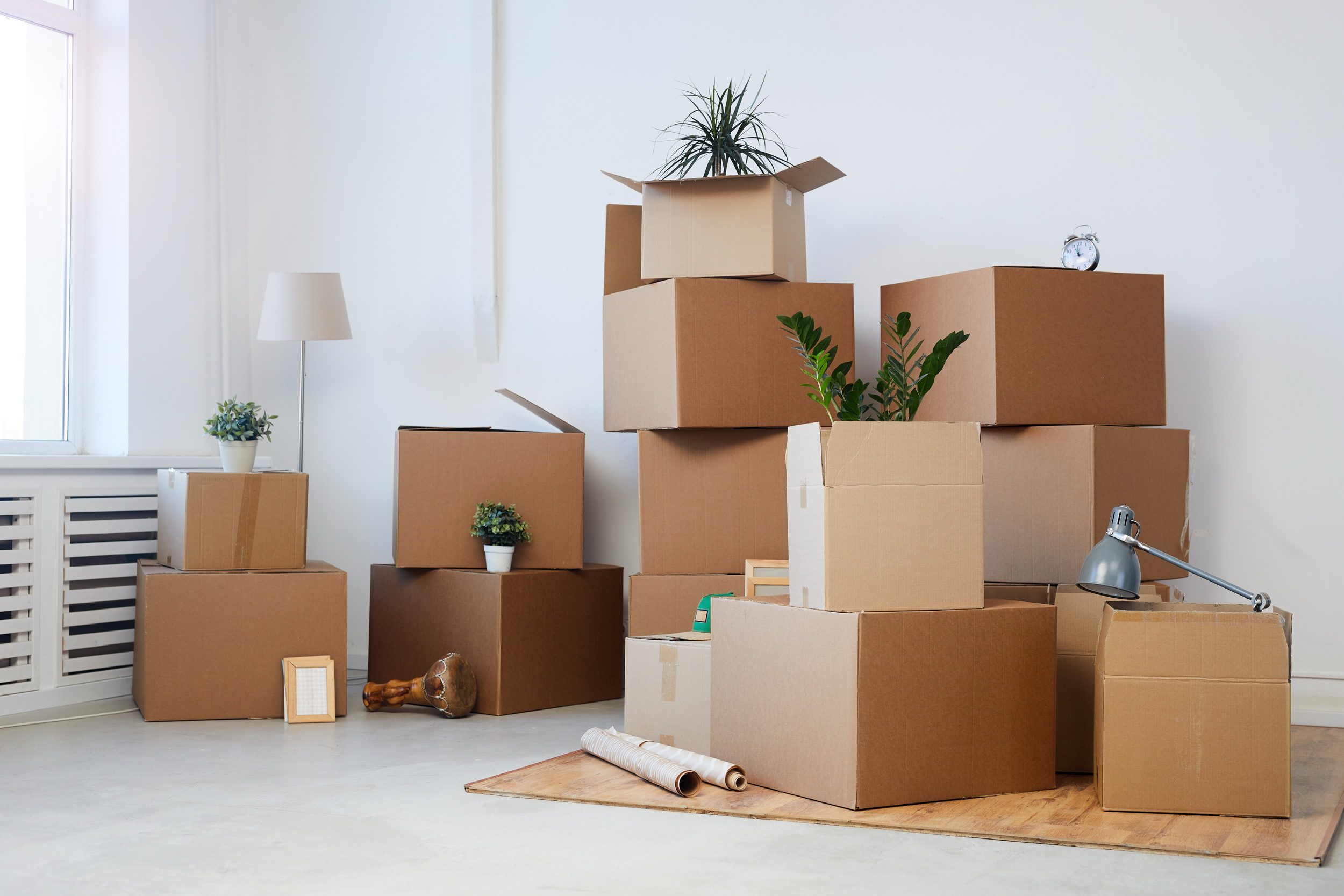 Frank Hoffmann Immobilien - Tipps für die Wohnungssuche
