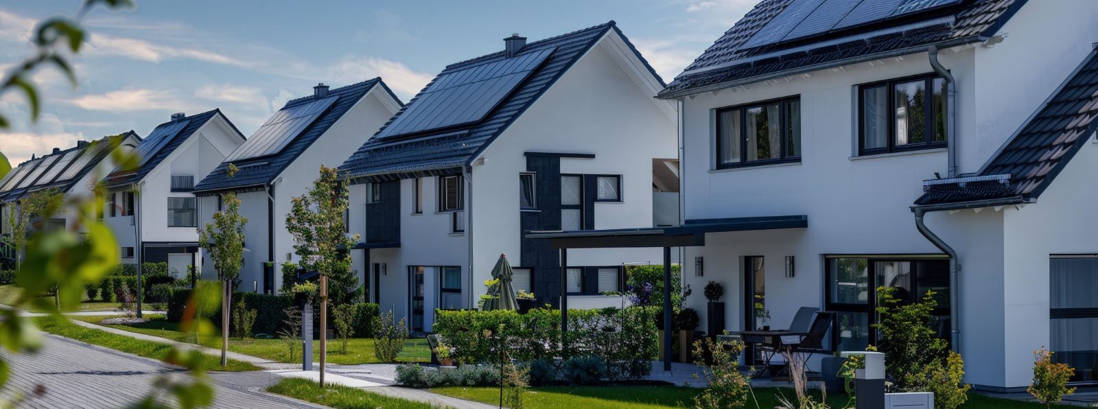 Frank Hoffmann Immobilien - Ihr Immobilienmakler in Grosshansdorf