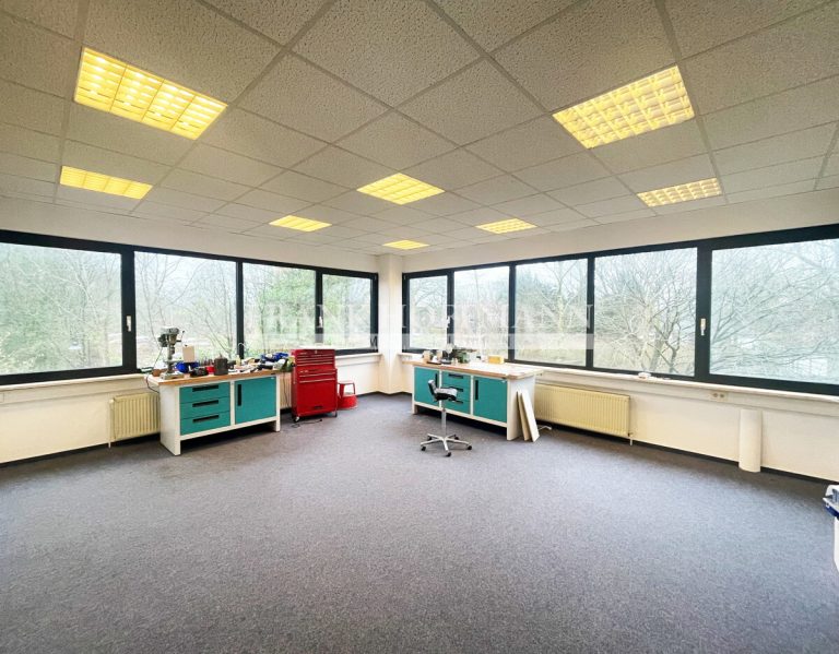 Immobilienangebot - Hamburg - Alle - Hochwertig und vielseitig nutzbar! Büro- und Lagerflächen in Poppenbüttel