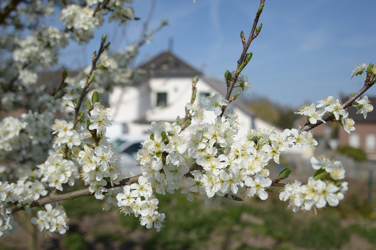 Frank Hoffmann Immobilien - Tippgeberprovision