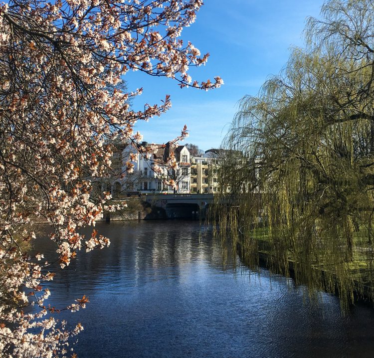Frank Hoffmann Immobilien - Ihr Immobilienmakler in Hamburg-Eppendorf