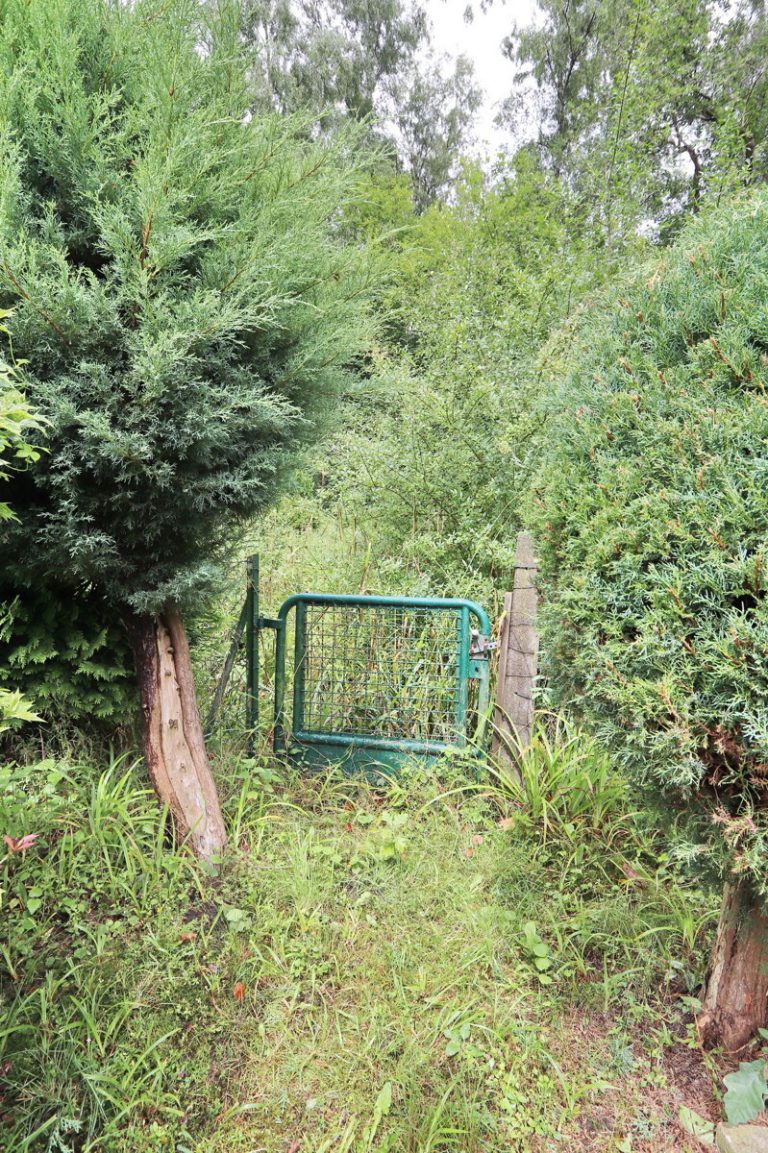 Immobilienangebot - Hamburg - Haus_Wohnung - Einfamilienhaus nahe Erlebengraben am Gehölz und Teich in Hamburg-Sasel