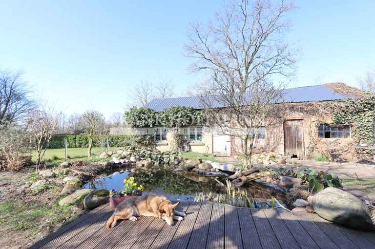 Immobilienangebot - Quickborn - Alle - Einzigartiges, buntes Zuhause mit modernem Anbau und Gartenparadies