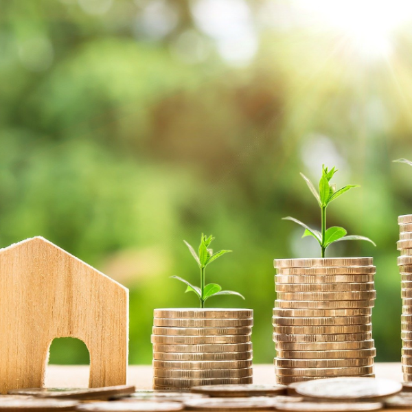 Frank Hoffmann Immobilien - FAQ Thema Kapitalanlagen - Investment