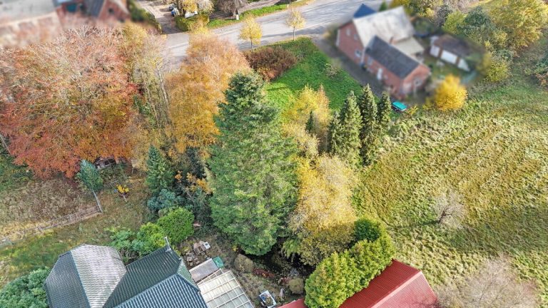 Immobilienangebot - Lentföhrden - Grundstücke - Attraktives Grundstück mit Altbestand und großem Entwicklungspotenzial