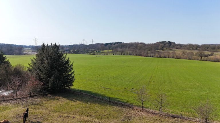 Immobilienangebot - Kisdorf - Grundstücke - Großes Baugrundstück mit Feldrandlage in Kisdorferwohld
