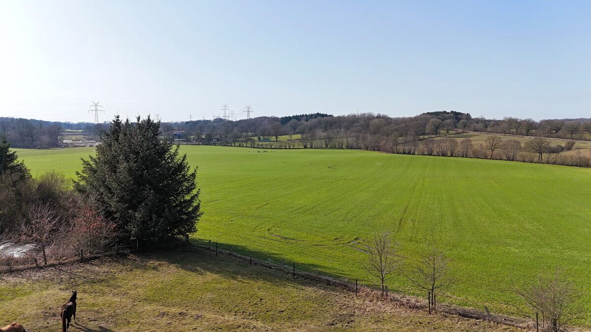 Immobilienangebot - Kisdorf - Grundstücke - Großes Baugrundstück mit Feldrandlage in Kisdorferwohld