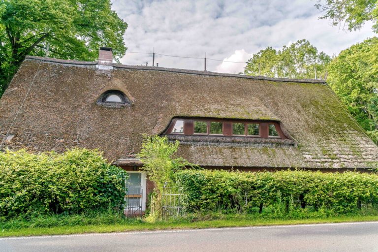 Immobilienangebot - Hoisdorf - Haus_Wohnung - Großzügige Dachgeschosswohnung auf großem Grundstück in Hoisdorf