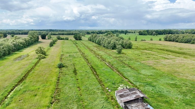Immobilienangebot - Alveslohe - Grundstücke - Landwirtschafts- und Wasserflächen in Alveslohe und Langeln zu verkaufen