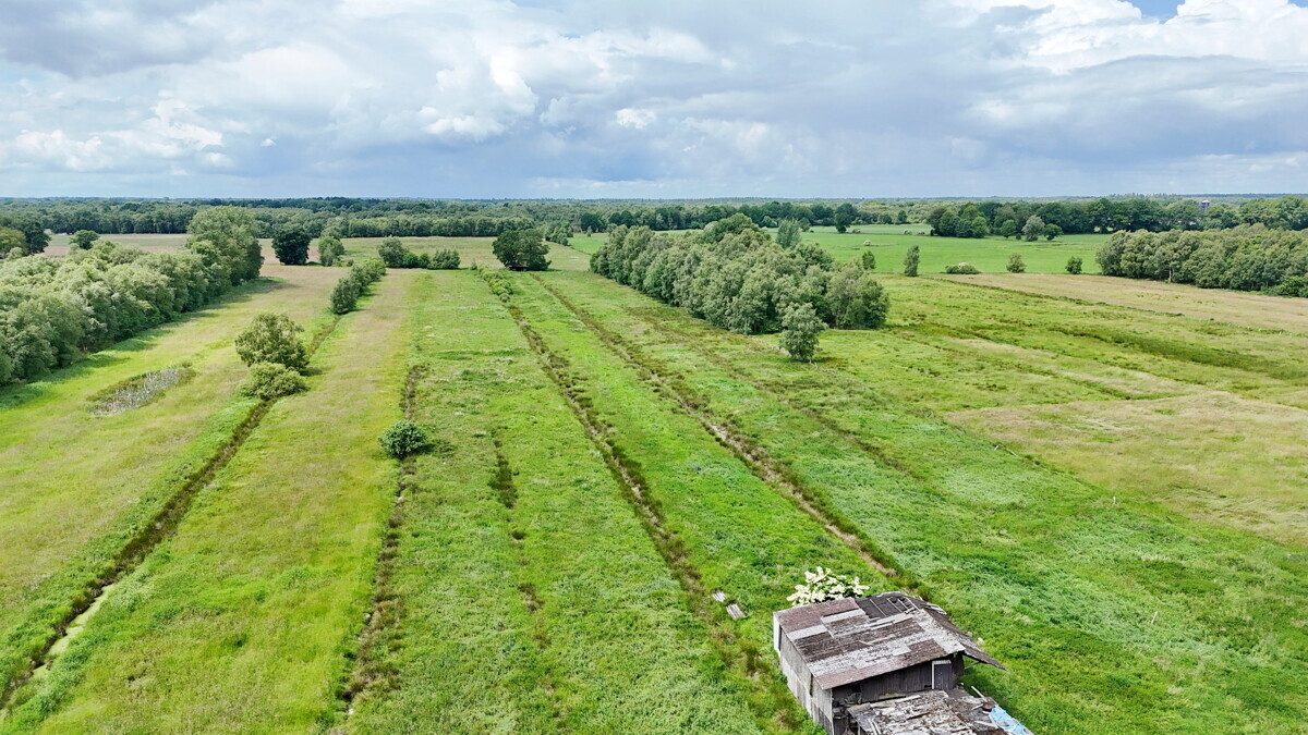 Immobilienangebot - Alveslohe - Grundstücke - Landwirtschafts- und Wasserflächen in Alveslohe und Langeln zu verkaufen