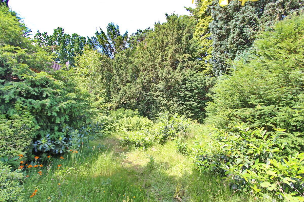 Immobilienangebot - Hamburg - Grundstücke - Tolles Baugrundstück in rückwärtiger ruhiger Lage in Hamburg-Lurup