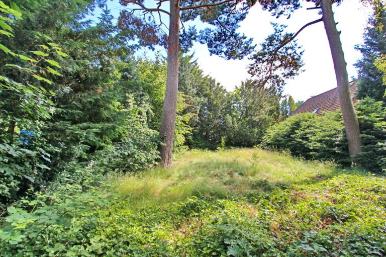 Immobilienangebot - Hamburg - Grundstücke - Tolles Baugrundstück in rückwärtiger ruhiger Lage in Hamburg-Lurup