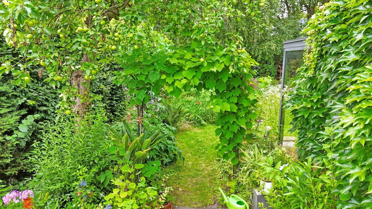 Gartenansicht Drohne (2) Immobilienangebot - Hamburg - Haus_Wohnung - Familienfreundliches Reihenendhaus im schönen Hamburg-Bramfeld.