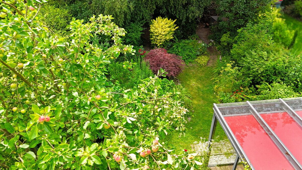 Gartenansicht Drohne Immobilienangebot - Hamburg - Haus_Wohnung - Familienfreundliches Reihenendhaus im schönen Hamburg-Bramfeld.