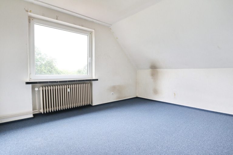 Immobilienangebot - Kisdorf - Haus_Wohnung - Zweifamilienhaus auf großzügigem Grundstück – Ihr Sanierungsprojekt mit viel Potenzial in Kisdorf
