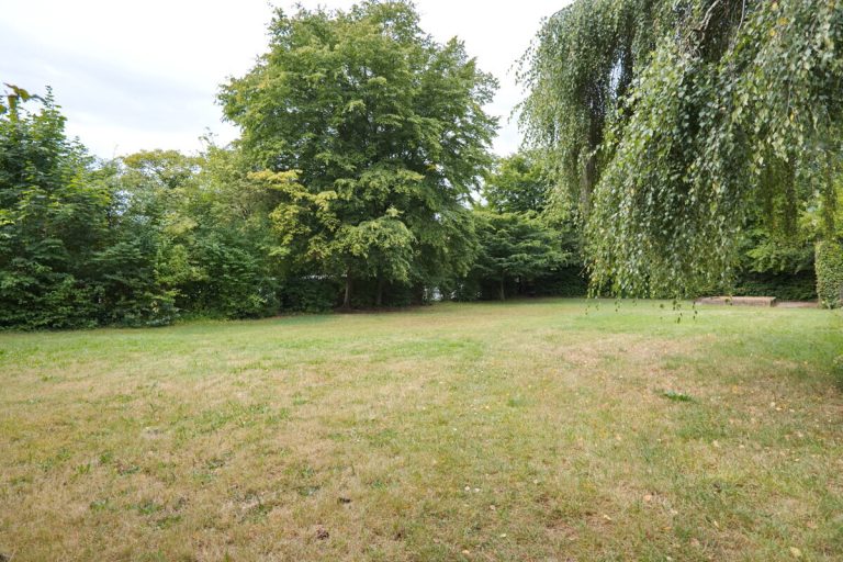 Immobilienangebot - Hamburg - Haus_Wohnung - Platzreiches Endreihenhaus mit 151,86m² Wohn- und Nutzfläche in Hamburg Poppenbüttel