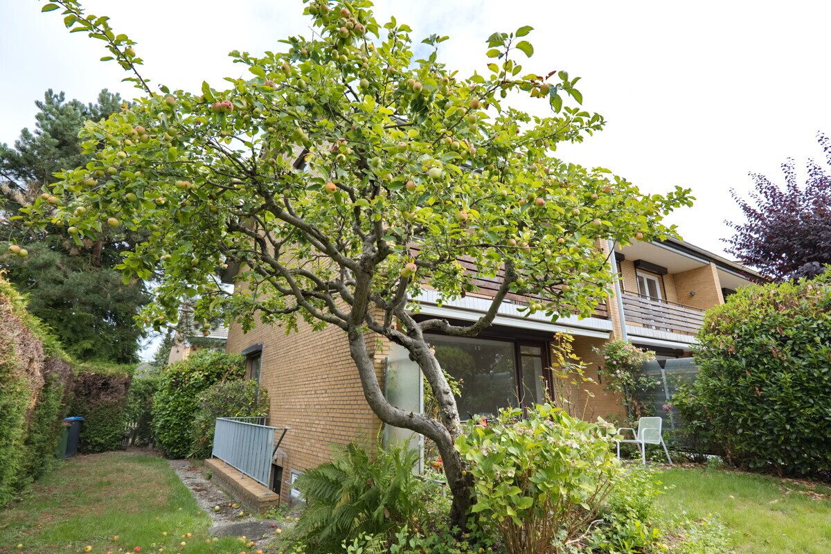 Rückenansicht Immobilienangebot - Hamburg - Haus_Wohnung - Platzreiches Endreihenhaus mit 151,86m² Wohn- und Nutzfläche in Hamburg Poppenbüttel