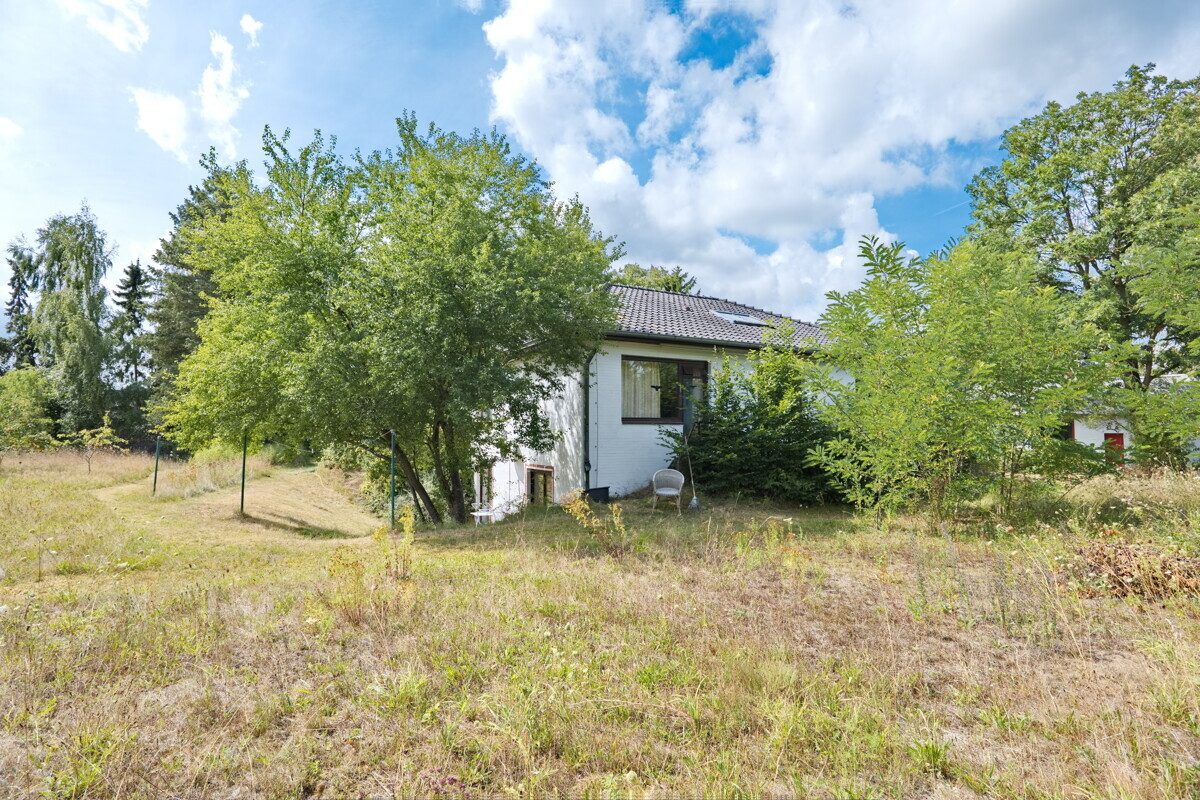 Rückansicht Immobilienangebot - Struvenhütten - Grundstücke - Großes Grundstück in Struvenhütten mit Altbestand