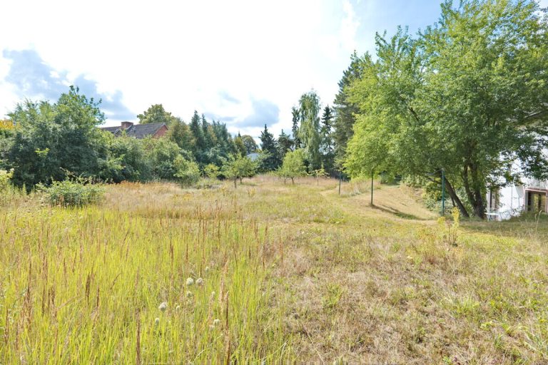 Immobilienangebot - Struvenhütten - Grundstücke - Großes Grundstück in Struvenhütten mit Altbestand