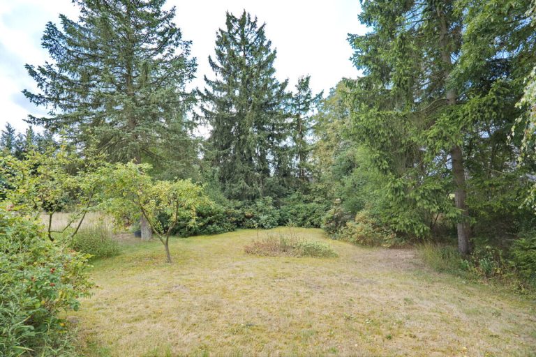 Immobilienangebot - Struvenhütten - Grundstücke - Großes Grundstück in Struvenhütten mit Altbestand