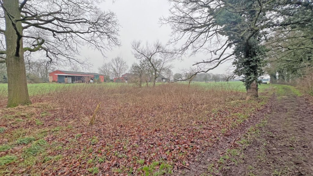 Volksbank Immobilien Niederrhein GmbH - Immobilienangebot - Kamp-Lintfort - Grundstücke - Wiesen- und Waldfläche im Kamp-Lintforter Stadtteil Hoerstgen!