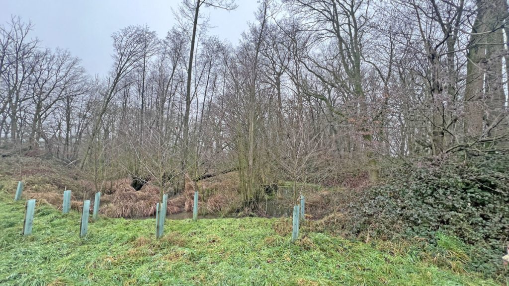 Volksbank Immobilien Niederrhein GmbH - Immobilienangebot - Kamp-Lintfort - Grundstücke - Wiesen- und Waldfläche im Kamp-Lintforter Stadtteil Hoerstgen!