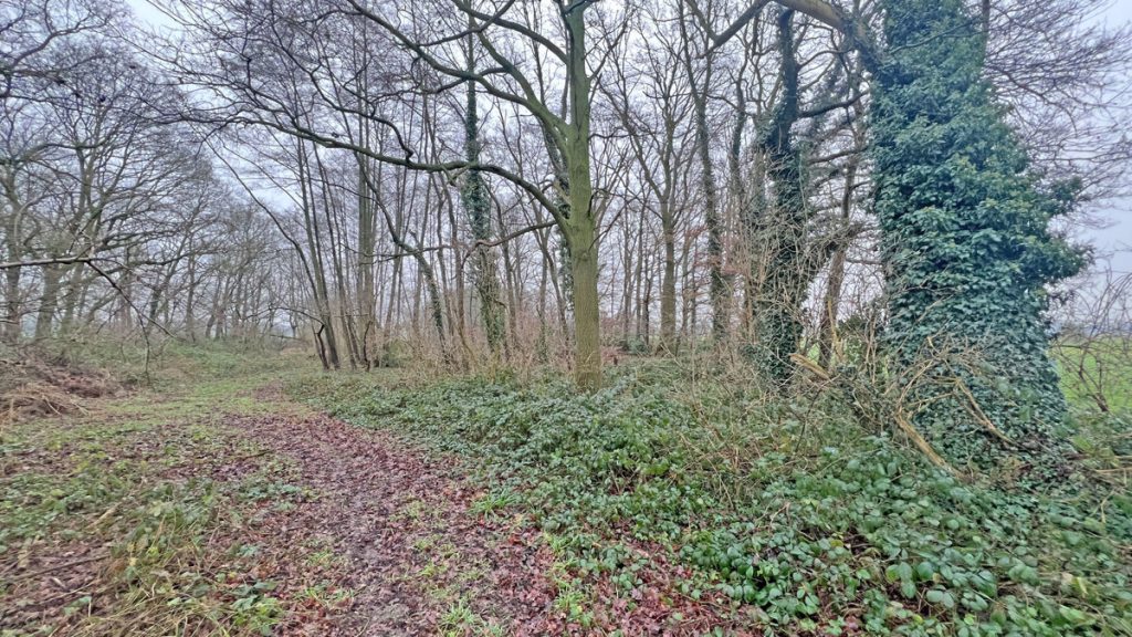 Volksbank Immobilien Niederrhein GmbH - Immobilienangebot - Kamp-Lintfort - Grundstücke - Wiesen- und Waldfläche im Kamp-Lintforter Stadtteil Hoerstgen!