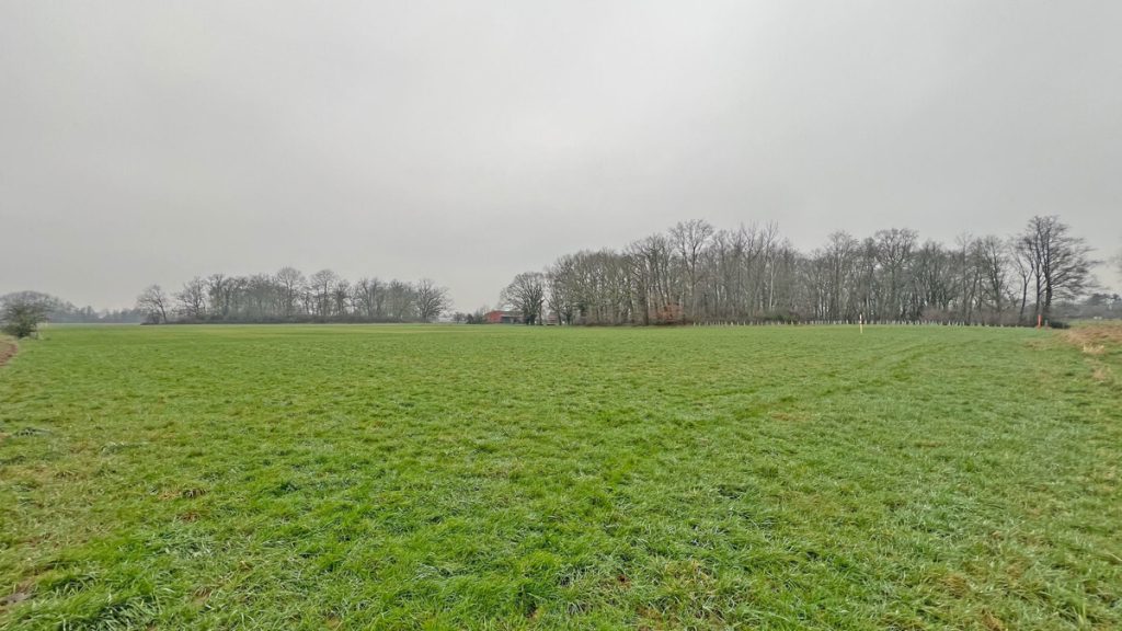 Volksbank Immobilien Niederrhein GmbH - Immobilienangebot - Kamp-Lintfort - Grundstücke - Wiesen- und Waldfläche im Kamp-Lintforter Stadtteil Hoerstgen!