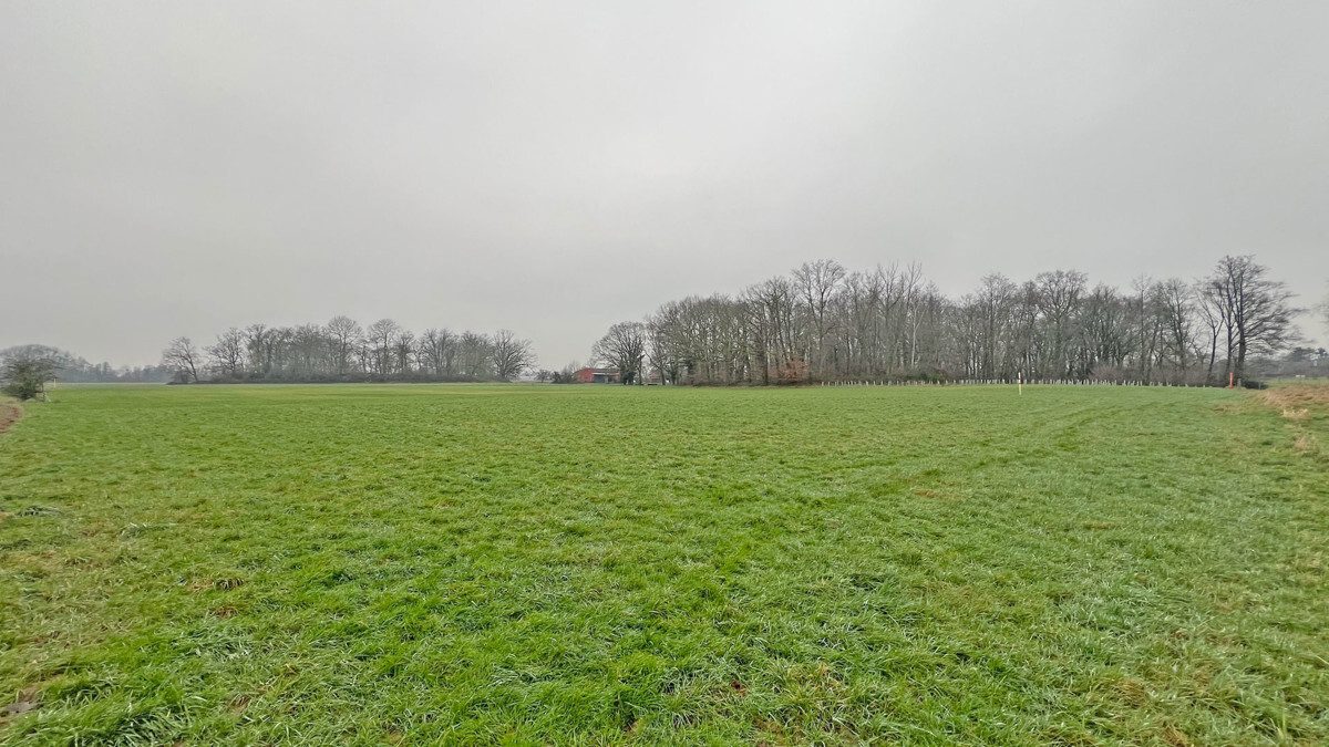 Volksbank Immobilien Niederrhein GmbH - Immobilienangebot - Kamp-Lintfort - Grundstücke - Wiesen- und Waldfläche im Kamp-Lintforter Stadtteil Hoerstgen!