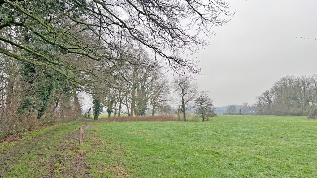 Volksbank Immobilien Niederrhein GmbH - Immobilienangebot - Kamp-Lintfort - Grundstücke - Wiesen- und Waldfläche im Kamp-Lintforter Stadtteil Hoerstgen!