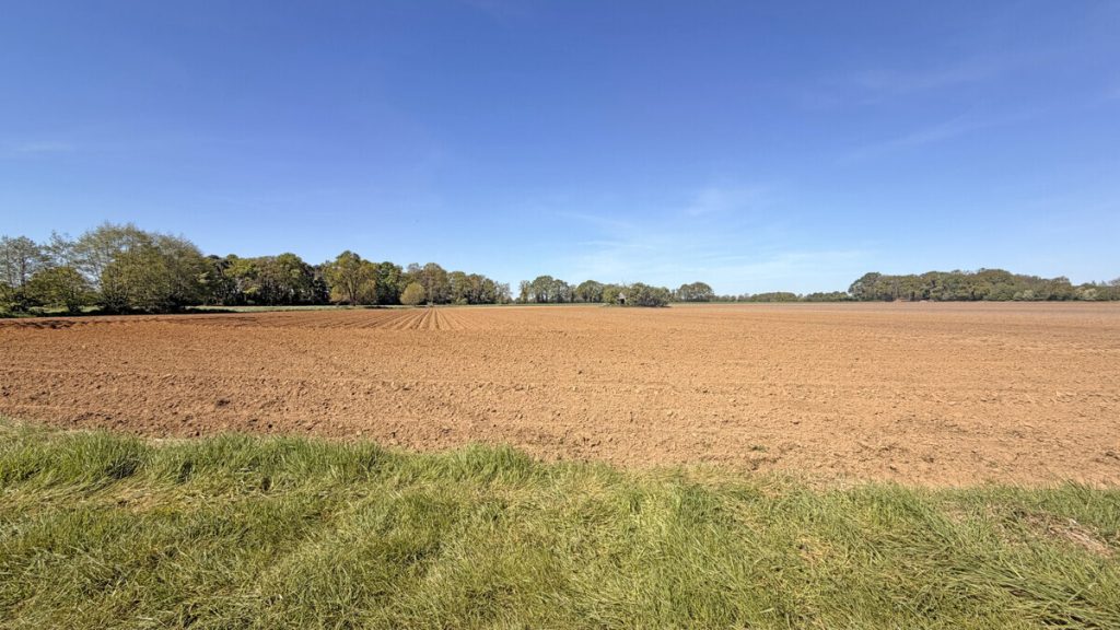 Volksbank Immobilien Niederrhein GmbH - Immobilienangebot - Hamminkeln - Grundstücke - Großzügige Ackerfläche (ca. 3,28 ha) im Naturpark Hohe Mark-Westmünsterland – Gemarkung Dingden