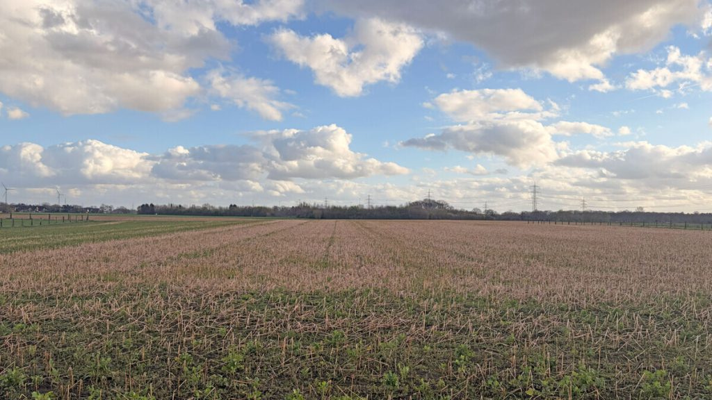 Landwirtschaftsfläche Volksbank Immobilien Niederrhein GmbH - Immobilienangebot - Hamminkeln - Grundstücke - Landwirtschaftliche Flächen mit rd. 1,90 ha in Hamminkeln – Paketverkauf