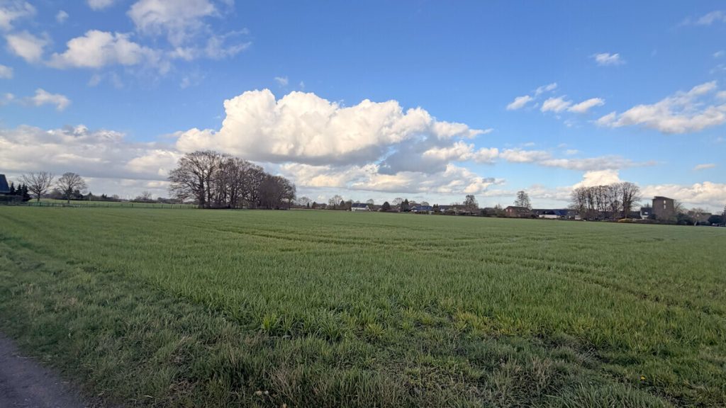 Landwirtschaftsfläche Volksbank Immobilien Niederrhein GmbH - Immobilienangebot - Hamminkeln - Grundstücke - Landwirtschaftliche Flächen mit rd. 1,90 ha in Hamminkeln – Paketverkauf