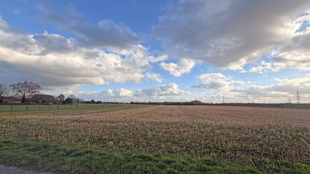 Landwirtschaftsfläche Volksbank Immobilien Niederrhein GmbH - Immobilienangebot - Hamminkeln - Grundstücke - Landwirtschaftliche Flächen mit rd. 1,90 ha in Hamminkeln – Paketverkauf