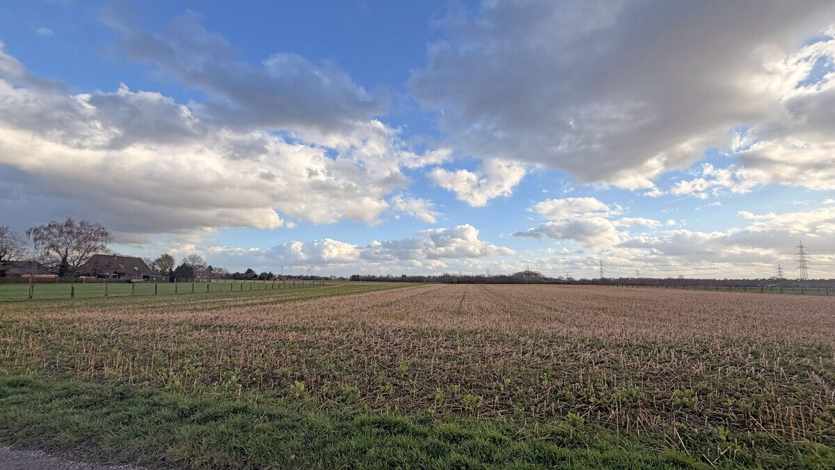 Volksbank Immobilien Niederrhein GmbH - Immobilienangebot - Hamminkeln - Grundstücke - Landwirtschaftliche Flächen mit  rd. 1,90 ha in Hamminkeln – Paketverkauf
