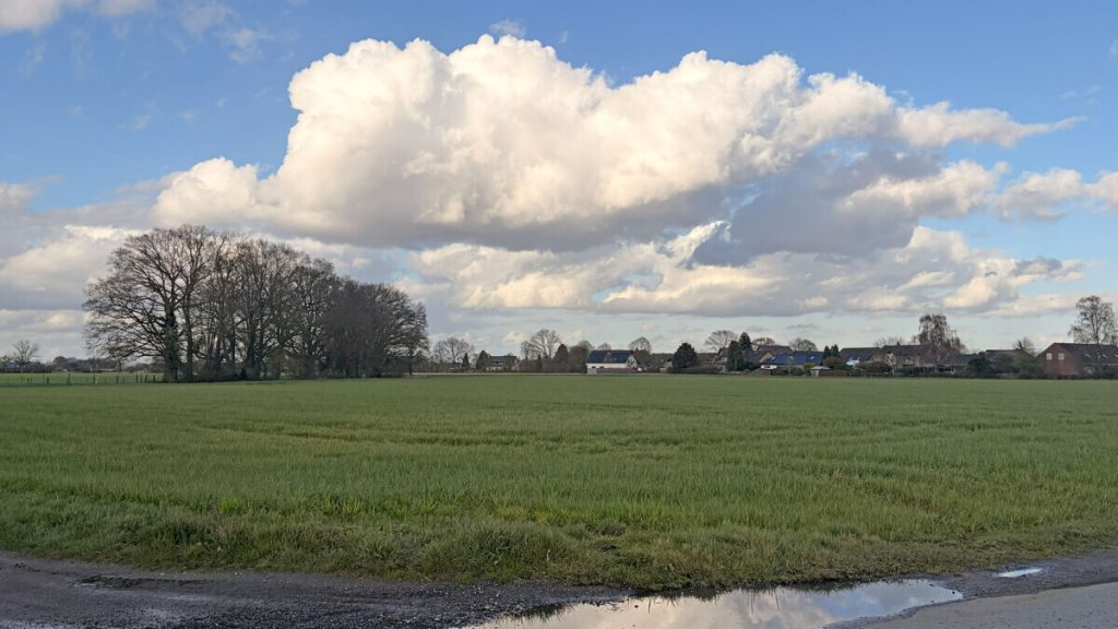Landwirtschaftsfläche Volksbank Immobilien Niederrhein GmbH - Immobilienangebot - Hamminkeln - Grundstücke - Landwirtschaftliche Flächen mit rd. 1,90 ha in Hamminkeln – Paketverkauf