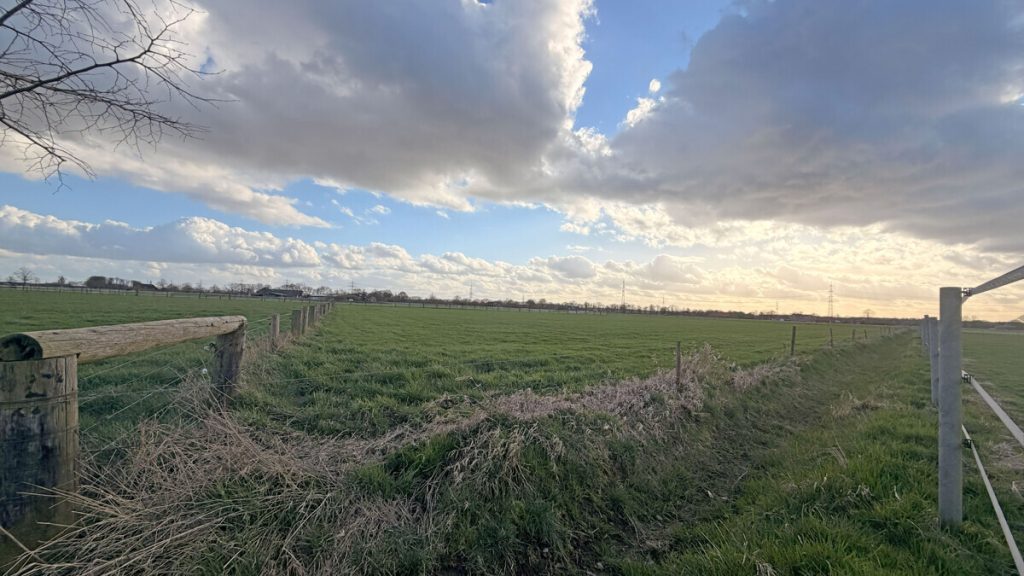 Grünland Volksbank Immobilien Niederrhein GmbH - Immobilienangebot - Hamminkeln - Grundstücke - Grünlandfläche mit rd. 2,38 ha im Naturschutzgebiet von Hamminkeln