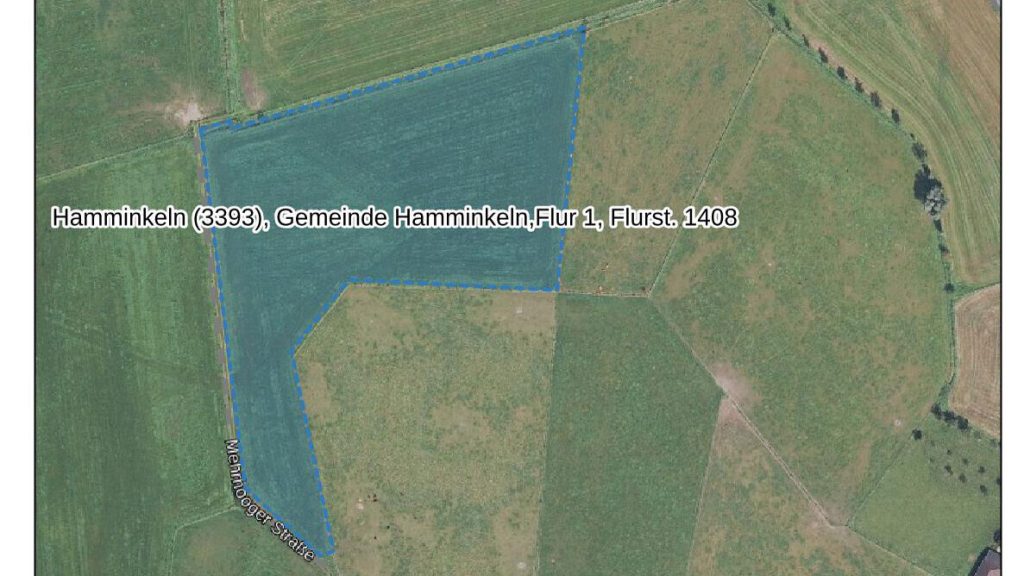 TIM-Online Satellit Volksbank Immobilien Niederrhein GmbH - Immobilienangebot - Hamminkeln - Grundstücke - Grünlandfläche mit rd. 2,38 ha im Naturschutzgebiet von Hamminkeln