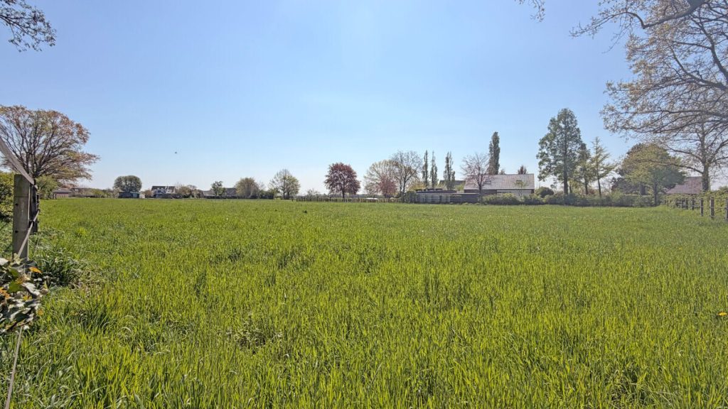 Landwirtschaftsfläche Volksbank Immobilien Niederrhein GmbH - Immobilienangebot - Hamminkeln - Grundstücke - Agrar-Duo in Hamminkeln: ca. 15.895 m² zusammenhängende landwirtschaftliche Fläche