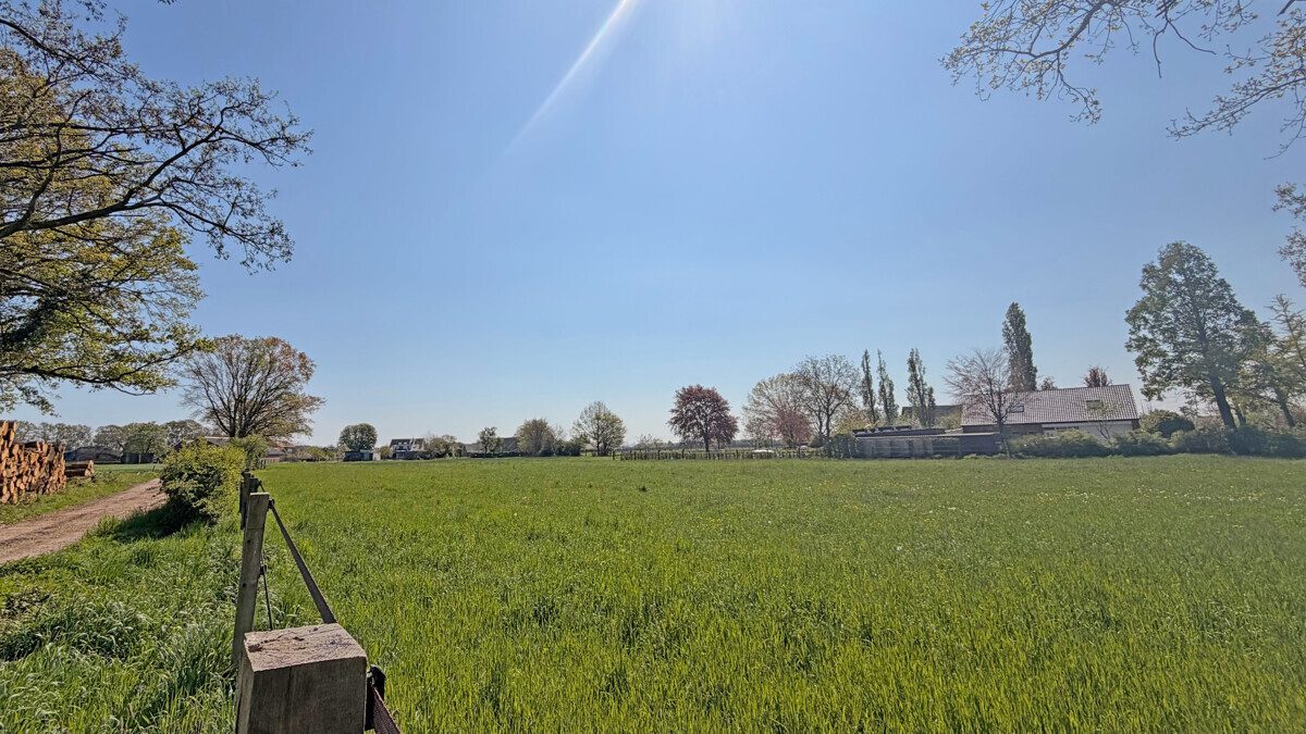 Volksbank Immobilien Niederrhein GmbH - Immobilienangebot - Hamminkeln - Grundstücke - Agrar-Duo in Hamminkeln: ca. 15.895 m² zusammenhängende landwirtschaftliche Fläche
