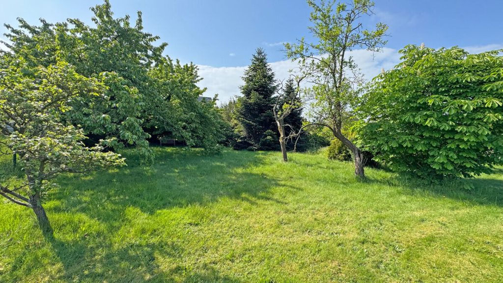 Volksbank Immobilien Niederrhein GmbH - Immobilienangebot - Voerde - Alle - Gepflegtes Einfamilienhaus mit großem Grundstück und möglicher Neubauperspektive in Voerde-Stockum!
